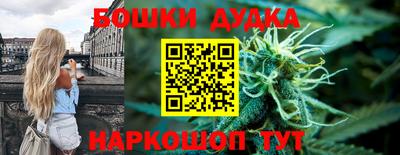 сатива Кингисепп