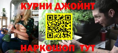 сатива Кингисепп