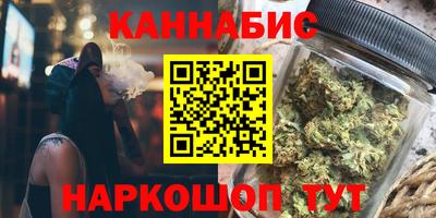 сатива Кингисепп