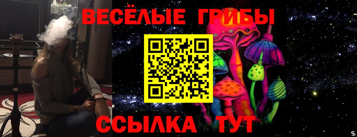 Галлюциногенные грибы Psilocybe Кудымкар