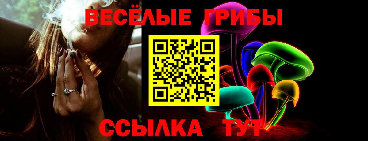 Кудымкар  Псилоцибиновые грибы Magic Shrooms  продажа наркотиков  Вход с VPN  Галлюциногенные грибы Cubensis 